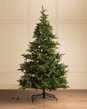 10' Grandis Fir Pre-Lit Faux Tree 1