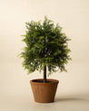 15.5" Cypress Faux Potted Topiary 0