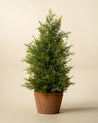 17" Cypress Faux Potted Tree 0