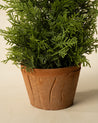 17" Cypress Faux Potted Tree 2
