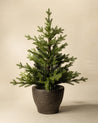 3' Norway Pre-Lit Faux Potted Tree 0