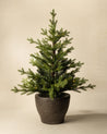 3' Norway Pre-Lit Faux Potted Tree 4