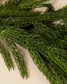 6' Norfolk Pine Faux Garland 1