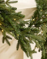 9' Norway Pre-Lit Indoor/Outdoor Faux Garland 1