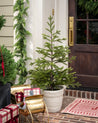 Faux Spruce Pre-Lit Potted Tree 2
