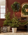 Faux Spruce Pre-Lit Potted Tree 3